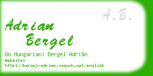 adrian bergel business card