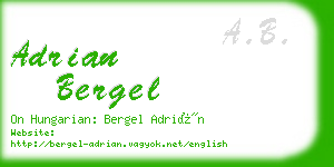 adrian bergel business card